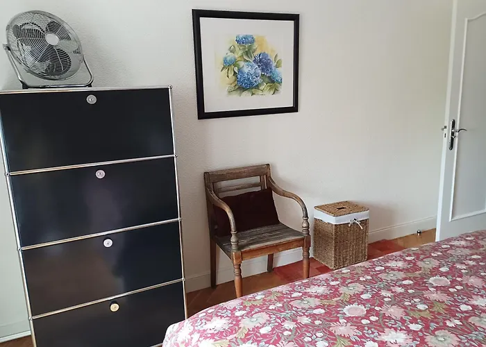 Con Vistas En El Puerto De Donostia 圣塞瓦斯蒂安